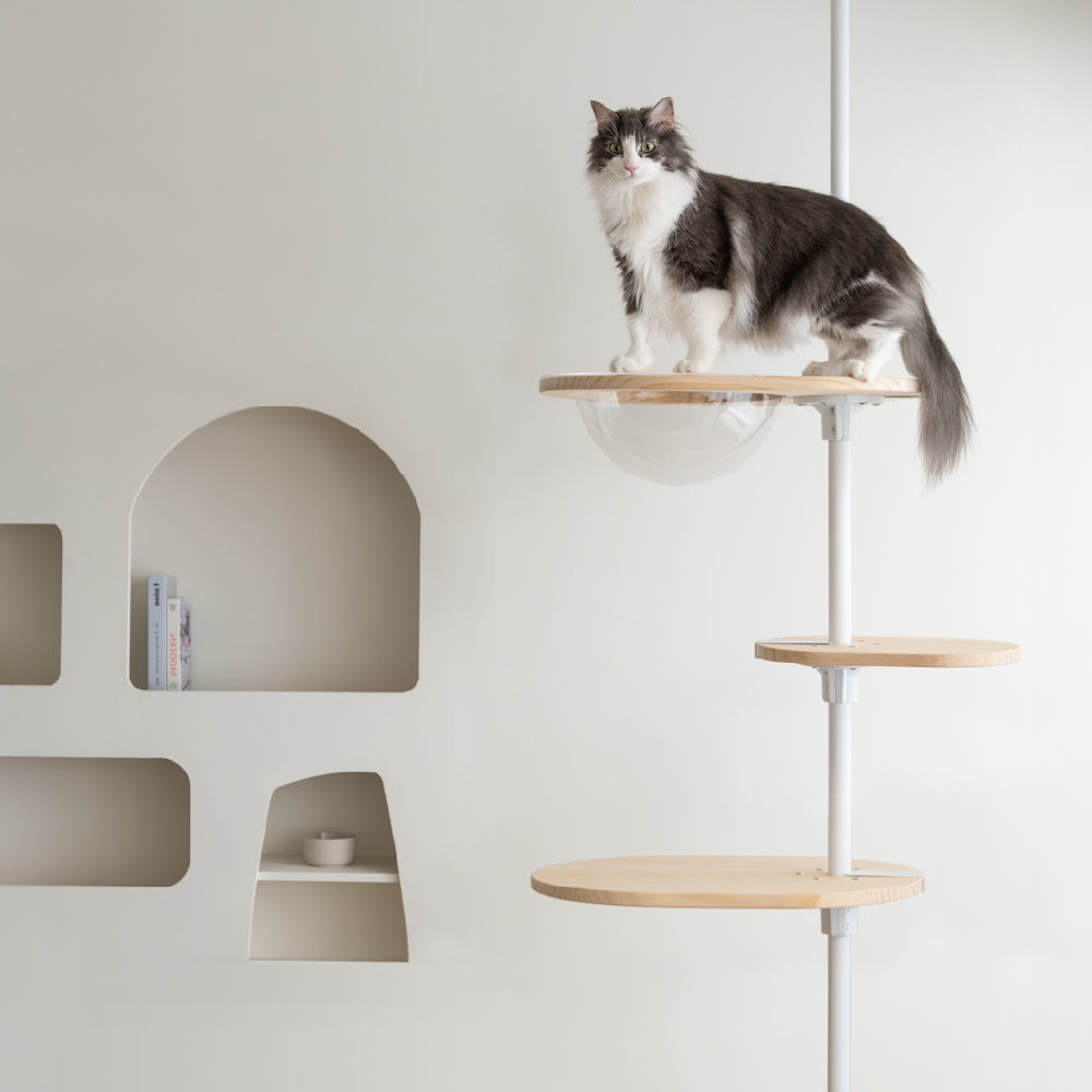 抱抱貓 木質系貓跳台 入門款